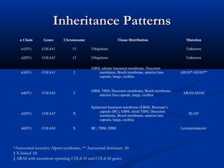 Inheritance PatternsInheritance Patterns
α Chain Genes Chromosome Tissue Distribution Mutation
α1(IV) COL4A1 13 Ubiquitous Unknown
α2(IV) COL4A2 13 Ubiquitous Unknown
α3(IV) COL4A3 2
GBM, tubular basement membrane, Descemet
membrane, Bruch membrane, anterior lens
capsule, lungs, cochlea
ARAS*/ADAS**
α4(IV) COL4A4 2
GBM, TBM, Descemet membrane, Bruch membrane,
anterior lens capsule, lungs, cochlea
ARAS/ADAS
α5(IV) COL4A5 X
Epidermal basement membrane (EBM), Bowman’s
capsule (BC), GBM, distal TBM, Descemet
membrane, Bruch membrane, anterior lens
capsule, lungs, cochlea
XLAS†
α6(IV) COL4A6 X BC, TBM, EBM Leiomyomatosis‡
*Autosomal recessive Alport syndrome, ** Autosomal dominant AS
† X-linked AS
‡ ARAS with mutations spanning COL4A5 and COL4A6 genes
 