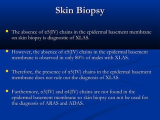 Skin BiopsySkin Biopsy
 The absence ofThe absence of αα5(IV) chains in the epidermal basement membrane5(IV) chains in the epidermal basement membrane
on skin biopsy is diagnostic of XLAS.on skin biopsy is diagnostic of XLAS.
 However, the absence ofHowever, the absence of αα5(IV) chains in the epidermal basement5(IV) chains in the epidermal basement
membrane is observed in only 80% of males with XLAS.membrane is observed in only 80% of males with XLAS.
 Therefore, the presence ofTherefore, the presence of αα5(IV) chains in the epidermal basement5(IV) chains in the epidermal basement
membrane does not rule out the diagnosis of XLAS.membrane does not rule out the diagnosis of XLAS.
 Furthermore,Furthermore, αα3(IV) and3(IV) and αα4(IV) chains are not found in the4(IV) chains are not found in the
epidermal basement membrane so skin biopsy can not be used forepidermal basement membrane so skin biopsy can not be used for
the diagnosis of ARAS and ADAS.the diagnosis of ARAS and ADAS.
 
