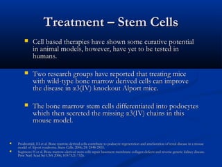 Treatment – Stem CellsTreatment – Stem Cells
 Cell based therapies have shown some curative potentialCell based therapies have shown some curative potential
in animal models, however, have yet to be tested inin animal models, however, have yet to be tested in
humans.humans.
 Two research groups have reported that treating miceTwo research groups have reported that treating mice
with wild-type bone marrow derived cells can improvewith wild-type bone marrow derived cells can improve
the disease inthe disease in αα3(IV) knockout Alport mice.3(IV) knockout Alport mice.
 The bone marrow stem cells differentiated into podocytesThe bone marrow stem cells differentiated into podocytes
which then secreted the missingwhich then secreted the missing αα3(IV) chains in this3(IV) chains in this
mouse model.mouse model.
 Prodromidi, EI et al. Bone marrow-derived cells contribute to podocyte regeneration and amelioration of renal disease in a mouseProdromidi, EI et al. Bone marrow-derived cells contribute to podocyte regeneration and amelioration of renal disease in a mouse
model of Alport syndrome. Stem Cells. 2006; 24: 2448-2455.model of Alport syndrome. Stem Cells. 2006; 24: 2448-2455.
 Sugimoto H et al. Bone marrow–derived stem cells repair basement membrane collagen defects and reverse genetic kidney disease.Sugimoto H et al. Bone marrow–derived stem cells repair basement membrane collagen defects and reverse genetic kidney disease.
Proc Natl Acad Sci USA 2006; 103:7321-7326.Proc Natl Acad Sci USA 2006; 103:7321-7326.
 