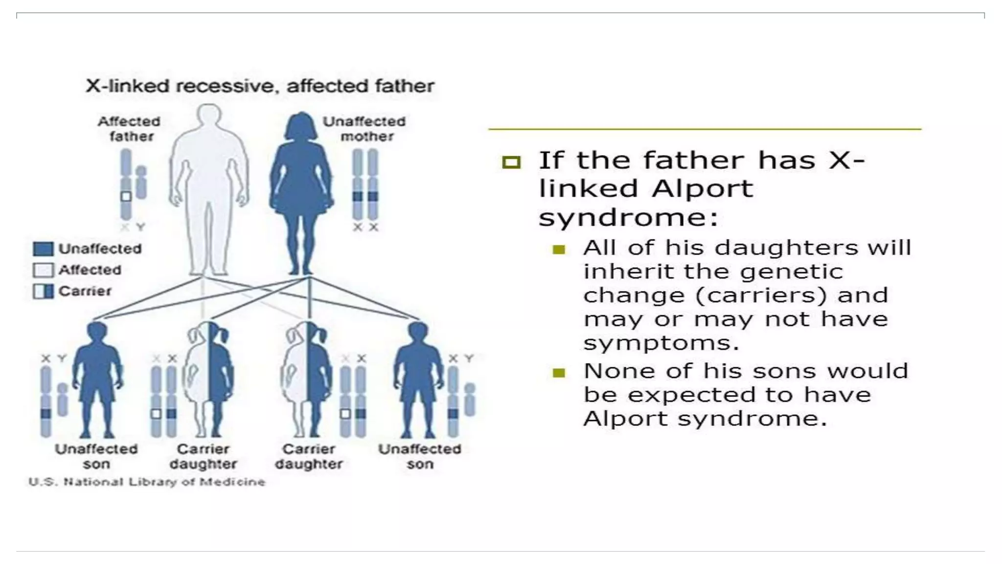 Alport syndrome | PPTX