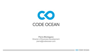 Pierre Montagano
Director of Business Development
pierre@codeocean.com
 