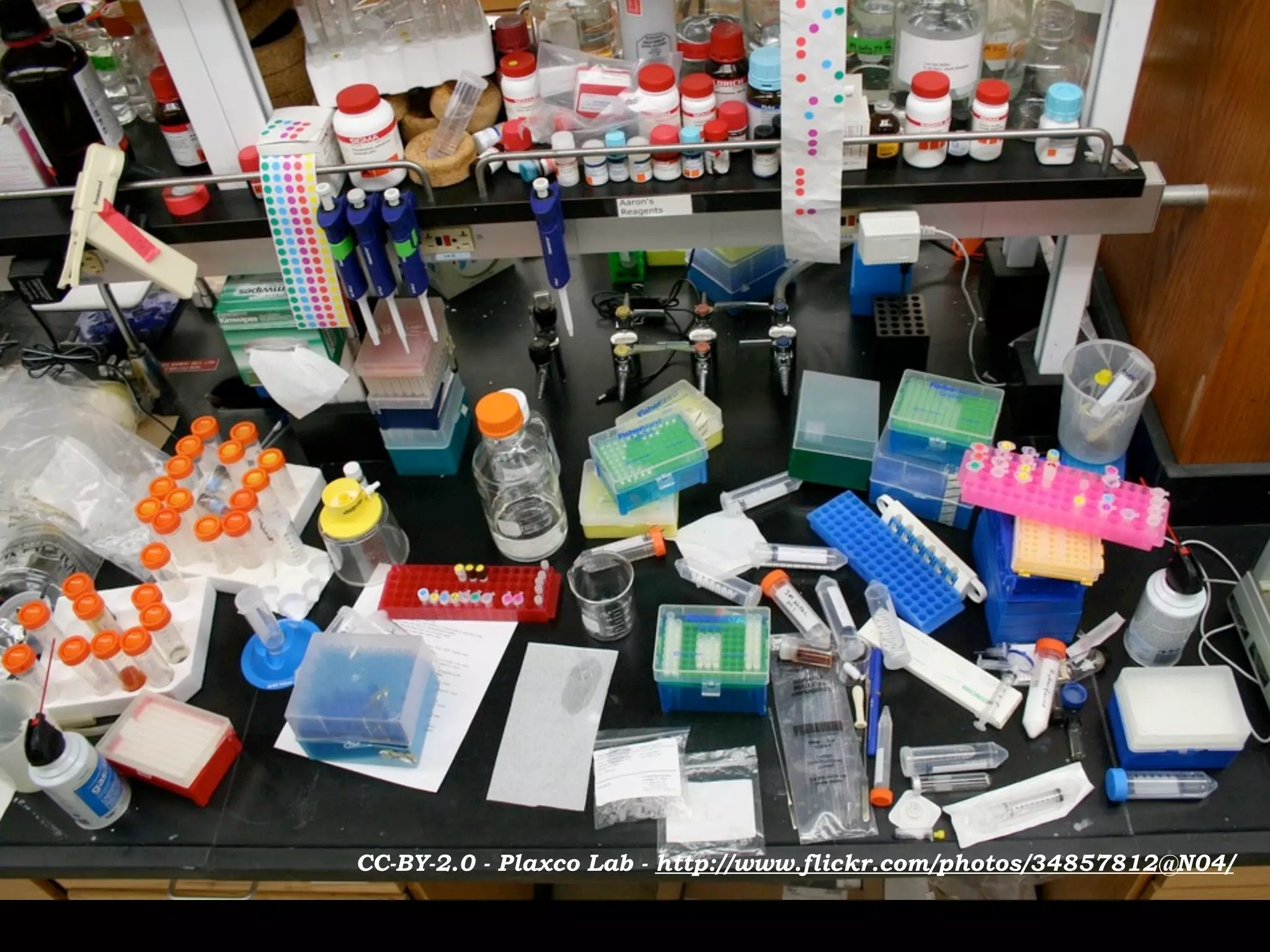 CC-BY-2.0 - Plaxco Lab - http://www.flickr.com/photos/34857812@N04/
 