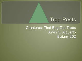 Tree Pests  Creatures  That Bug Our Trees Arvin C. Alpuerto  Botany 202 