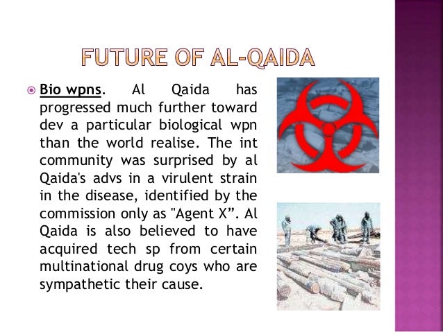 What Is Al Qaeda What Is Al Qaeda