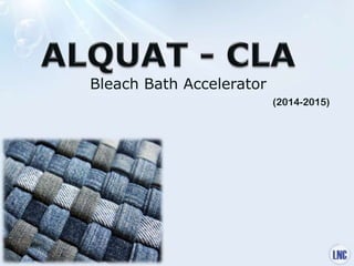 Bleach Bath Accelerator
(2014-2015)
 