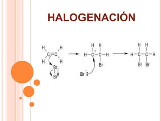 Halogenacion Alquenos y alquinos | PPTX