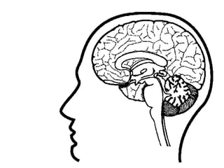 Profesión científico (cerebro)