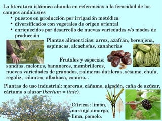 La literatura islámica abunda en referencias a la feracidad de los 
campos andalusíes

puestos en producción por irrigación metódica

diversificados con vegetales de origen oriental

enriquecidos por desarrollo de nuevas variedades y/o modos de 
producción
Plantas alimenticias: arroz, azafrán, berenjena, 
espinacas, alcachofas, zanahorias
Plantas de uso industrial: moreras, cáñamo, algodón, caña de azúcar, 
cártamo o alazor (kartum = tinte).                            ... 
Cítricos: limón, 
naranja amarga, 
lima, pomelo.
Frutales y especias: 
sandías, melones, bananeros, membrilleros, 
nuevas variedades de granados, palmeras datileras, sésamo, chufa, 
regaliz,  cilantro, albahaca, comino...
 