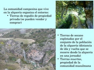  La comunidad campesina que vive
 en la alquería organiza el entorno:

Tierras de regadío de propiedad 
privada (se pueden vender y 
comprar)
 

Tierras de secano 
explotadas por el 
conjunto de la población 
de la alquería (distancia 
de ida y vuelta que se 
recorre desde la alquería 
en una jornada)

Tierras muertas, 
propiedad de la 
comunidad musulmana 
 
