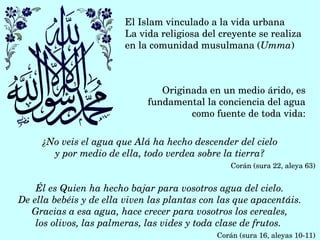 El Islam vinculado a la vida urbana
La vida religiosa del creyente se realiza  
en la comunidad musulmana (Umma)
Originada en un medio árido, es 
fundamental la conciencia del agua 
como fuente de toda vida:
¿No veis el agua que Alá ha hecho descender del cielo
y por medio de ella, todo verdea sobre la tierra?
                                   Corán (sura 22, aleya 63)
Él es Quien ha hecho bajar para vosotros agua del cielo.
De ella bebéis y de ella viven las plantas con las que apacentáis.
Gracias a esa agua, hace crecer para vosotros los cereales,
los olivos, las palmeras, las vides y toda clase de frutos. 
                            Corán (sura 16, aleyas 10­11)
 