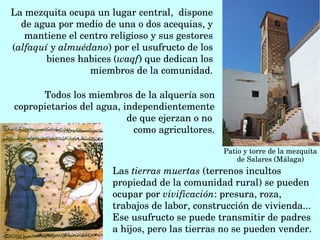 Las tierras muertas (terrenos incultos 
propiedad de la comunidad rural) se pueden 
ocupar por vivificación: presura, roza, 
trabajos de labor, construcción de vivienda...
Ese usufructo se puede transmitir de padres 
a hijos, pero las tierras no se pueden vender.
La mezquita ocupa un lugar central,  dispone 
de agua por medio de una o dos acequias, y 
mantiene el centro religioso y sus gestores 
(alfaquí y almuédano) por el usufructo de los 
bienes habices (waqf) que dedican los 
miembros de la comunidad.
Patio y torre de la mezquita
de Salares (Málaga)
Todos los miembros de la alquería son 
copropietarios del agua, independientemente 
de que ejerzan o no 
como agricultores.
 