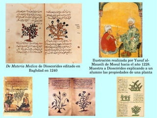 De Materia Medica de Dioscorides editado en 
Baghdad en 1240
Ilustración realizada por Yusuf al­
Mausili de Mosul hacia el año 1228. 
Muestra a Dioscórides explicando a un 
alumno las propiedades de una planta
 