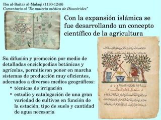 Con la expansión islámica se 
fue desarrollando un concepto 
científico de la agricultura
Ibn al­Baitar al­Malaqi (1190­1248)
Comentario al “De materia médica de Dioscórides”
Su difusión y promoción por medio de 
detalladas enciclopedias botánicas y 
agrícolas, permitieron poner en marcha 
sistemas de producción muy eficientes, 
adecuados a diversos medios geográficos: 

técnicas de irrigación

estudio y catalogación de una gran 
variedad de cultivos en función de  
la estación, tipo de suelo y cantidad 
de agua necesaria 
 