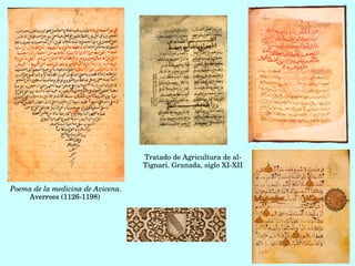 Poema de la medicina de Avicena.
Averroes (1126­1198) 
Tratado de Agricultura de al­
Tignari. Granada, siglo XI­XII
Poema de la medicina de Avicena.
Averroes (1126­1198) 
 