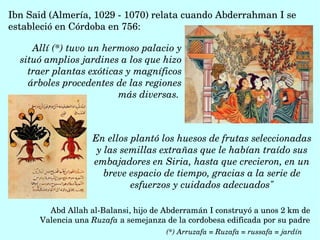 Allí (*) tuvo un hermoso palacio y 
situó amplios jardines a los que hizo 
traer plantas exóticas y magníficos 
árboles procedentes de las regiones 
más diversas. 
Ibn Said (Almería, 1029 ­ 1070) relata cuando Abderrahman I se 
estableció en Córdoba en 756: 
(*) Arruzafa = Ruzafa = russafa = jardín
En ellos plantó los huesos de frutas seleccionadas 
y las semillas extrañas que le habían traído sus 
embajadores en Siria, hasta que crecieron, en un 
breve espacio de tiempo, gracias a la serie de 
esfuerzos y cuidados adecuados"
Abd Allah al­Balansi, hijo de Abderramán I construyó a unos 2 km de  
Valencia una Ruzafa a semejanza de la cordobesa edificada por su padre 
 