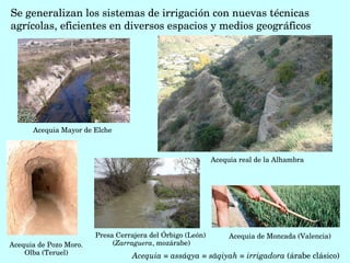 Acequia real de la Alhambra
Se generalizan los sistemas de irrigación con nuevas técnicas 
agrícolas, eficientes en diversos espacios y medios geográficos
Acequia Mayor de Elche
Acequia de Pozo Moro. 
Olba (Teruel)
Acequia de Moncada (Valencia)
Acequia = assáqya = sāqiyah = irrigadora (árabe clásico) 
Presa Cerrajera del Órbigo (León)  
(Zarraguera, mozárabe)
 