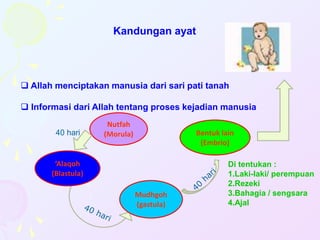 Kandungan ayat
 Allah menciptakan manusia dari sari pati tanah
 Informasi dari Allah tentang proses kejadian manusia
Nutfah
(Morula)
‘Alaqoh
(Blastula)
Bentuk lain
(Embrio)
Mudhgoh
(gastula)
40 hari
Di tentukan :
1.Laki-laki/ perempuan
2.Rezeki
3.Bahagia / sengsara
4.Ajal
 