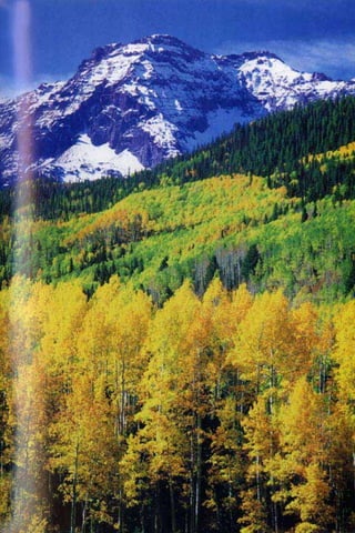 Al quran dan_sains[1]