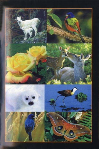 Al quran dan_sains[1]