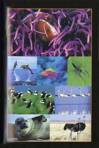 Al quran dan_sains[1]