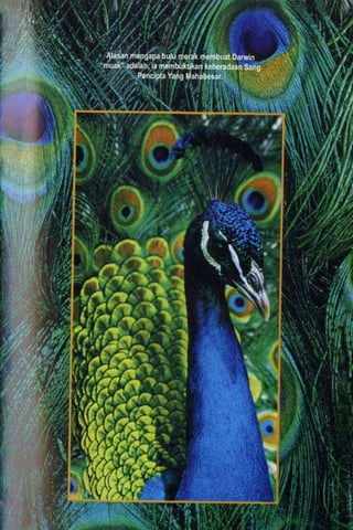 Al quran dan_sains[1]