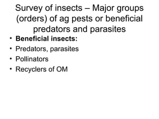 Survey of insects – Major groups
(orders) of ag pests or beneficial
predators and parasites
• Beneficial insects:
• Predators, parasites
• Pollinators
• Recyclers of OM
 
