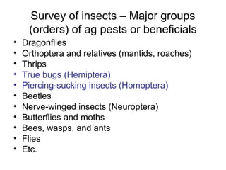 Survey of insects – Major groups
(orders) of ag pests or beneficials
• Dragonflies
• Orthoptera and relatives (mantids, roaches)
• Thrips
• True bugs (Hemiptera)
• Piercing-sucking insects (Homoptera)
• Beetles
• Nerve-winged insects (Neuroptera)
• Butterflies and moths
• Bees, wasps, and ants
• Flies
• Etc.
 