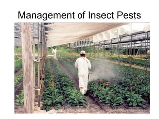 Management of Insect Pests
 