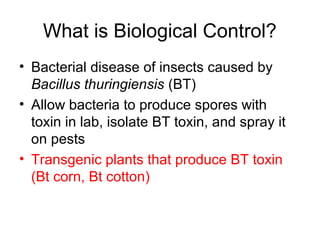 What is Biological Control?
• Bacterial disease of insects caused by
Bacillus thuringiensis (BT)
• Allow bacteria to produce spores with
toxin in lab, isolate BT toxin, and spray it
on pests
• Transgenic plants that produce BT toxin
(Bt corn, Bt cotton)
 