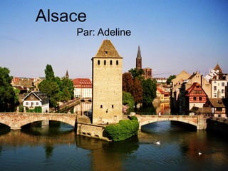 Alsace - Adeline