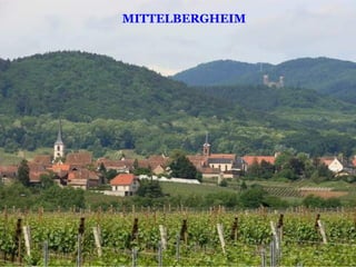 MITTELBERGHEIM