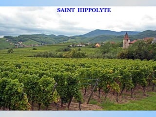 SAINT HIPPOLYTE