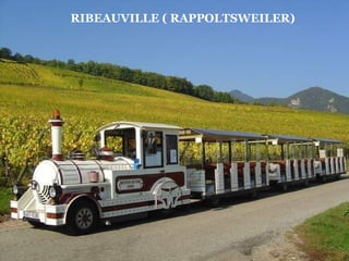 RIBEAUVILLE ( RAPPOLTSWEILER)