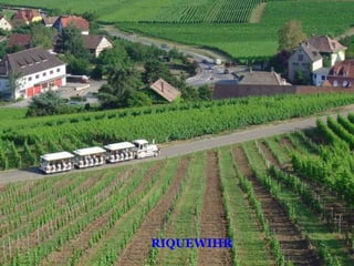 RIQUEWIHR
