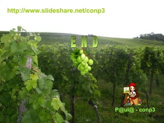 P@ul@ - conp3 http://www.slideshare.net/conp3 E N D