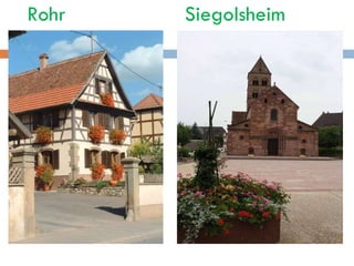 Rohr  Siegolsheim  