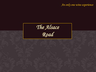 An only one wine experience The Alsace          Road 