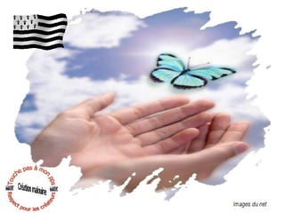 Alsaciennes for ever