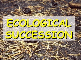 ECOLOGICALECOLOGICAL
SUCCESSIONSUCCESSION
 
