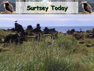 Surtsey TodaySurtsey Today
 
