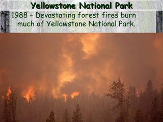 Yellowstone National ParkYellowstone National Park
1988 – Devastating forest fires burn
much of Yellowstone National Park.
 