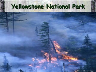 Yellowstone National ParkYellowstone National Park
 