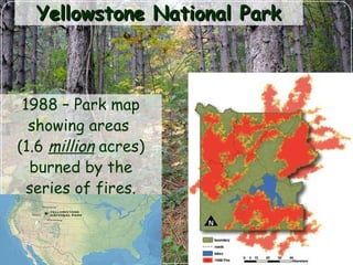Yellowstone National ParkYellowstone National Park
1988 – Park map
showing areas
(1.6 million acres)
burned by the
series of fires.
 