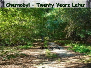 Chernobyl – Twenty Years LaterChernobyl – Twenty Years Later
A local highway.
 