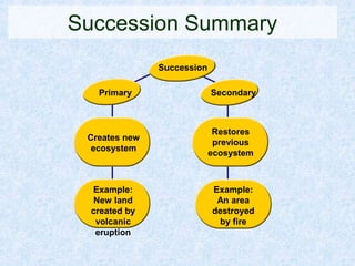 Succession Summary
Succession
Creates new
ecosystem
Restores
previous
ecosystem
Example:
New land
created by
volcanic
eruption
Example:
An area
destroyed
by fire
Primary Secondary
 