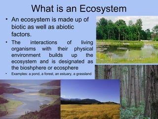 What is an Ecosystem
• An ecosystem is made up of
biotic as well as abiotic
factors.
• The interactions of living
organisms with their physical
environment builds up the
ecosystem and is designated as
the bioshphere or ecosphere
• Examples: a pond, a forest, an estuary, a grassland
 