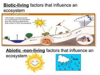 ECOSYSTEM | PPT