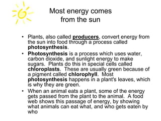 Most energy comes
from the sun
• Plants, also called producers, convert energy from
the sun into food through a process called
photosynthesis.
• Photosynthesis is a process which uses water,
carbon dioxide, and sunlight energy to make
sugars. Plants do this in special cells called
chloroplasts. These are usually green because of
a pigment called chlorophyll. Most
photosynthesis happens in a plant's leaves, which
is why they are green.
• When an animal eats a plant, some of the energy
gets passed from the plant to the animal. A food
web shows this passage of energy, by showing
what animals can eat what, and who gets eaten by
who
 