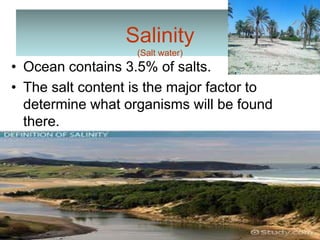 Salinity
(Salt water)
• Ocean contains 3.5% of salts.
• The salt content is the major factor to
determine what organisms will be found
there.
 