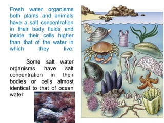 Fresh water organisms
both plants and animals
have a salt concentration
in their body fluids and
inside their cells higher
than that of the water in
which they live.
Some salt water
organisms have salt
concentration in their
bodies or cells almost
identical to that of ocean
water
 